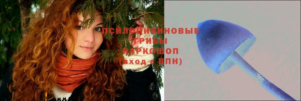кокс Аркадак