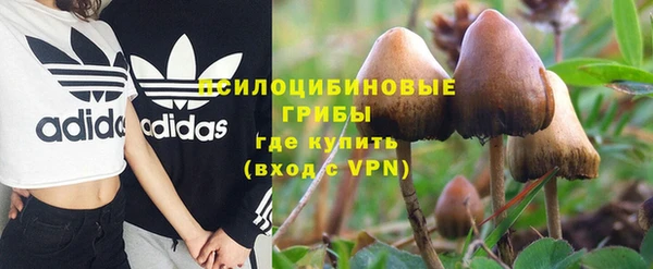 кокс Аркадак